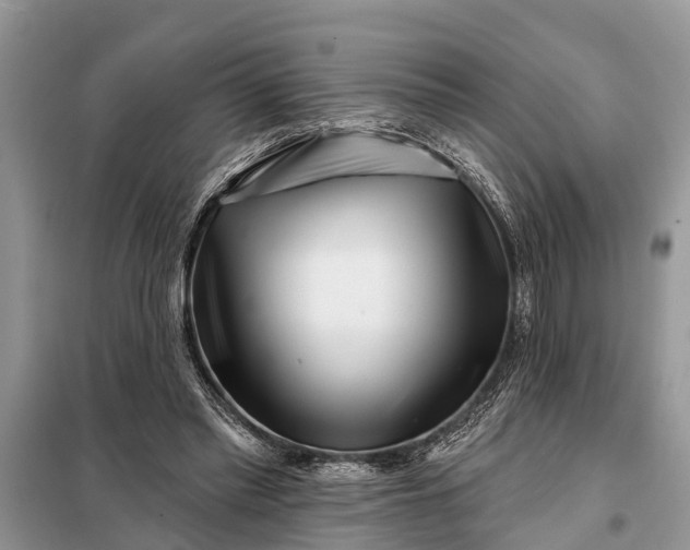 X0000097970397200804071104