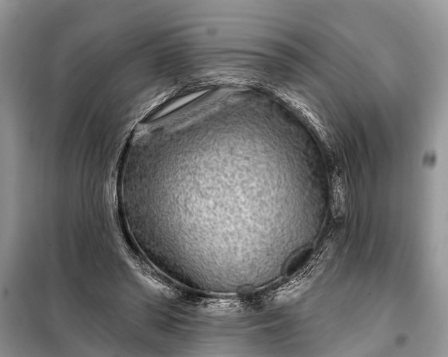 X0000097970398200804071104