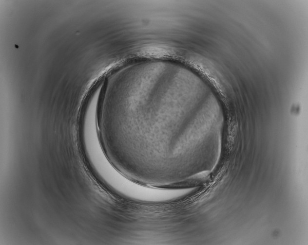 X0000097970399200804071104