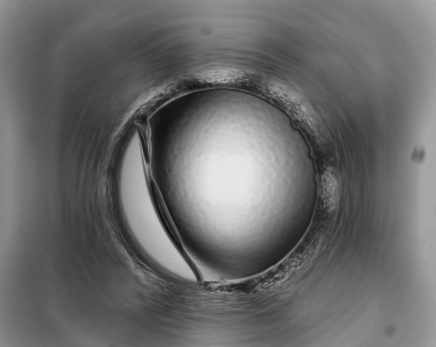 X0000097970400200804071104