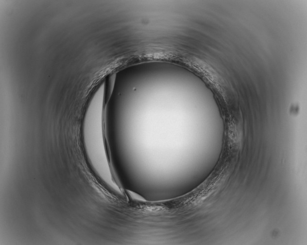 X0000097970401200804071104