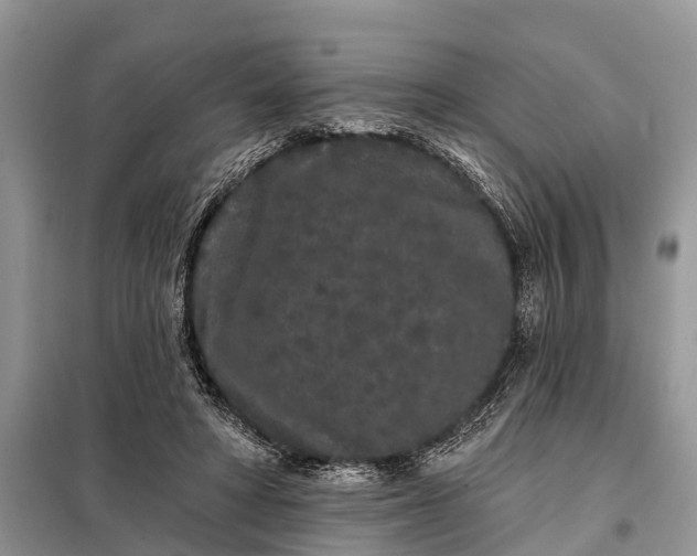 X0000097970402200804071104