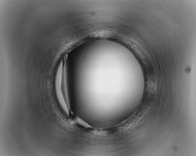 X0000097970403200804071104