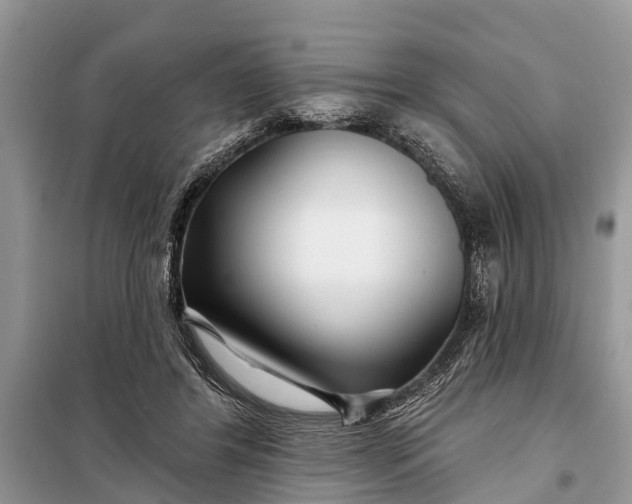 X0000097970404200804071104