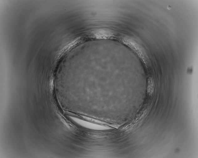 X0000097970405200804071104