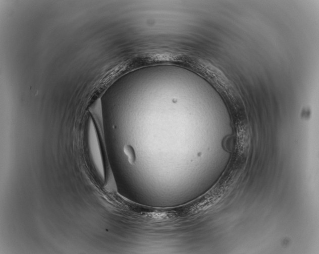 X0000097970406200804071104