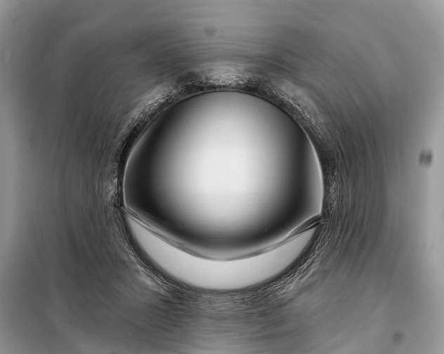 X0000097970407200804071104