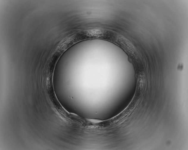 X0000097970408200804071104