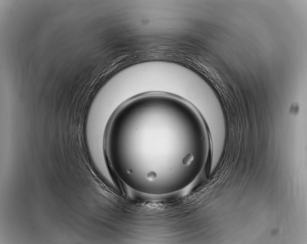 X0000097970409200804071104