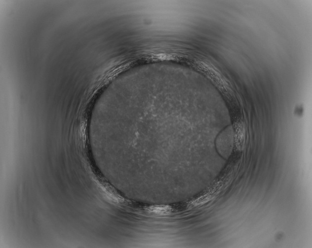 X0000097970410200804071104