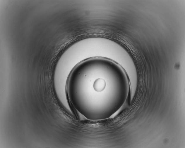 X0000097970411200804071103