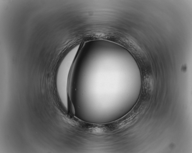 X0000097970412200804071103