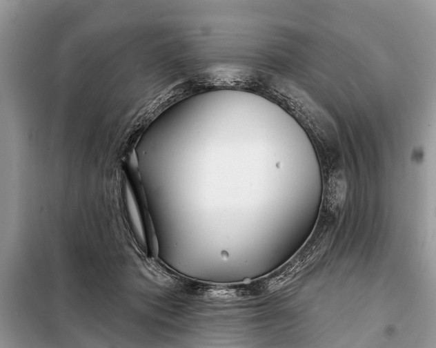 X0000097970413200804071103