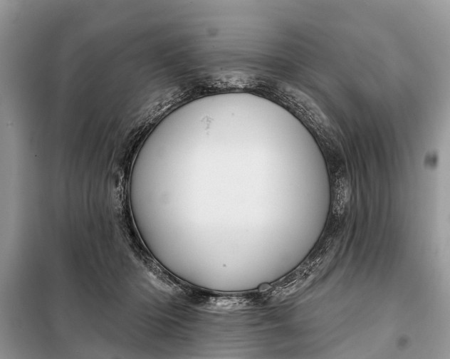 X0000097970414200804071103