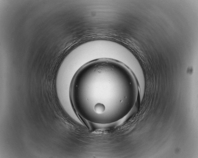 X0000097970415200804071103