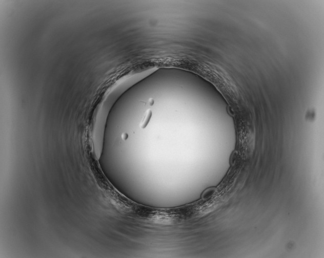 X0000097970416200804071103