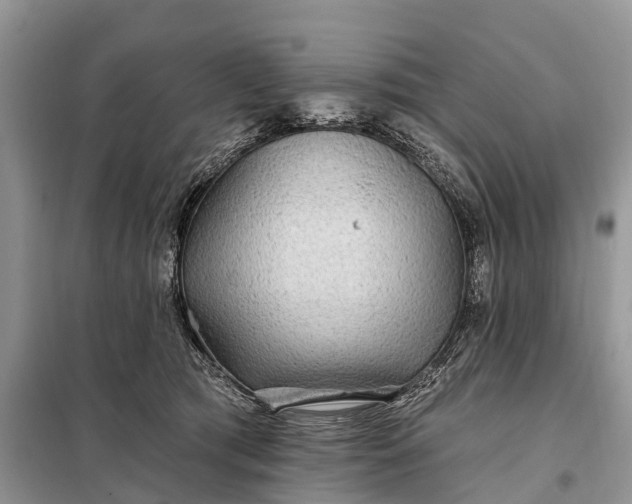 X0000097970417200804071103