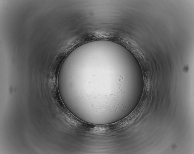 X0000097970418200804071103