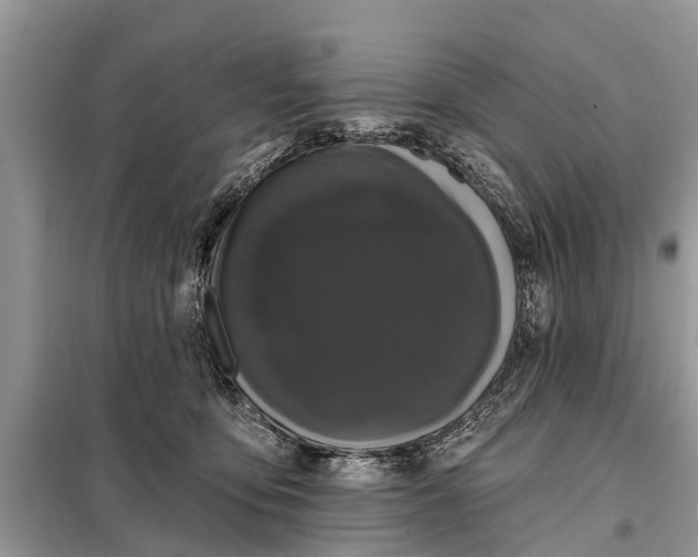 X0000097970419200804071103