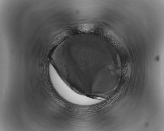 X0000097970420200804071103