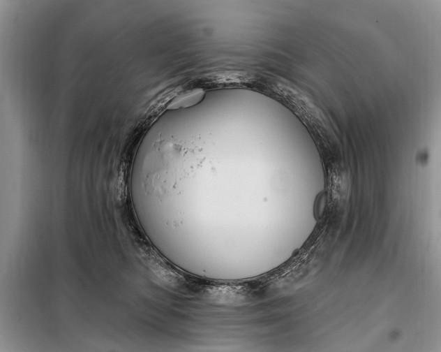 X0000097970422200804071103