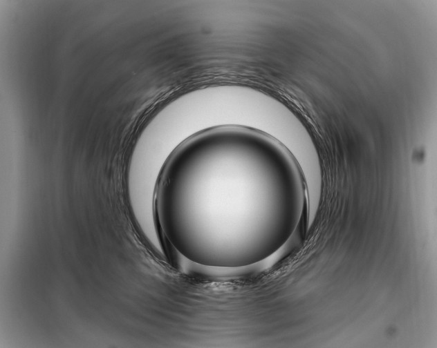 X0000097970423200804071103