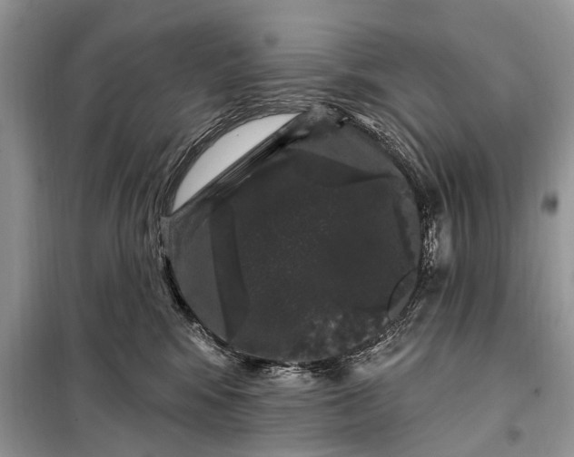 X0000097970424200804071103