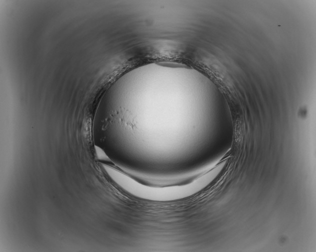 X0000097970425200804071103