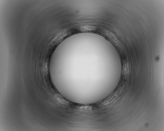 X0000097970426200804071103