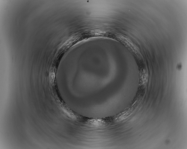 X0000097970427200804071103