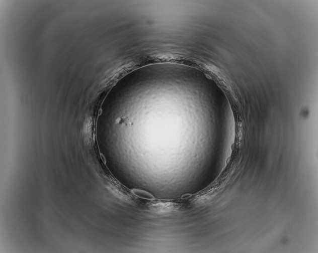 X0000097970428200804071103