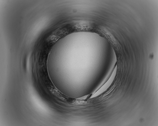 X0000097970429200804071103