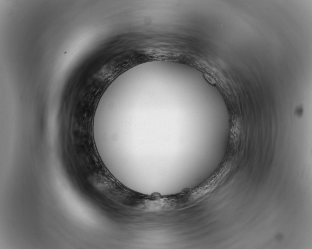 X0000097970430200804071103