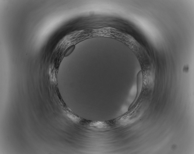 X0000097970431200804071103