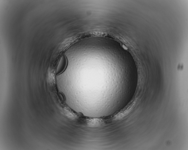 X0000097970432200804071103