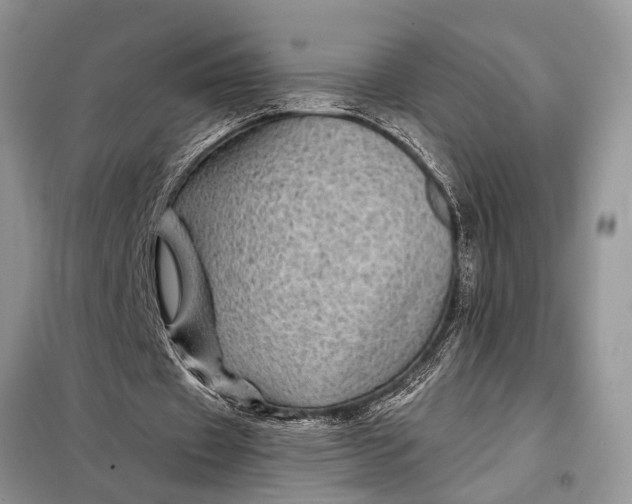 X0000097970433200804071102