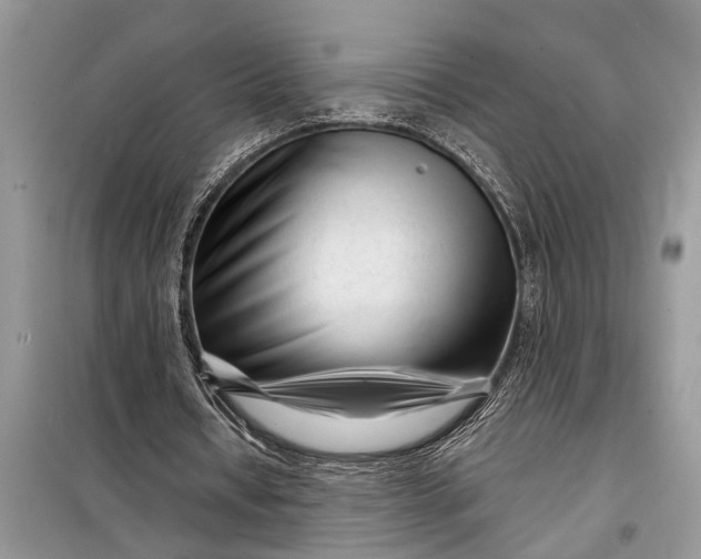 X0000097970434200804071102