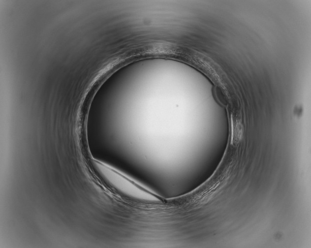 X0000097970435200804071102