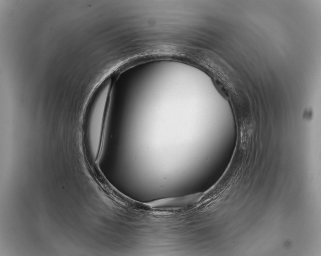 X0000097970436200804071102