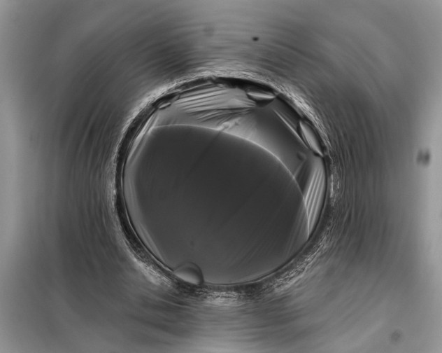 X0000097970438200804071102