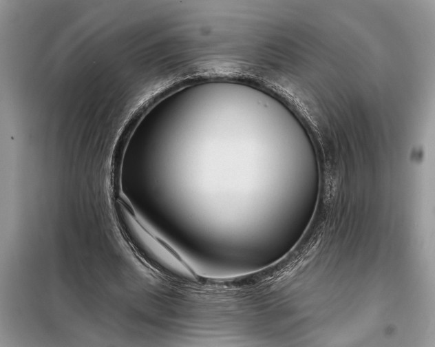 X0000097970439200804071102