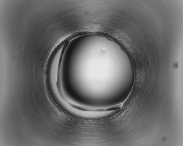 X0000097970440200804071102