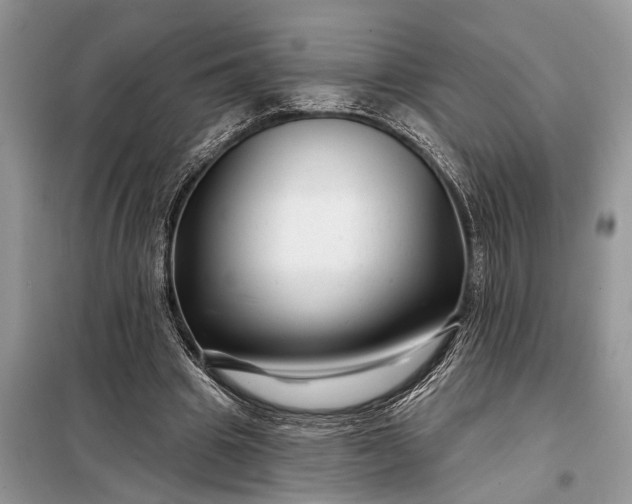 X0000097970441200804071102