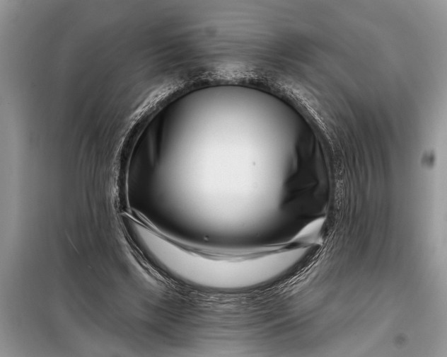 X0000097970443200804071103