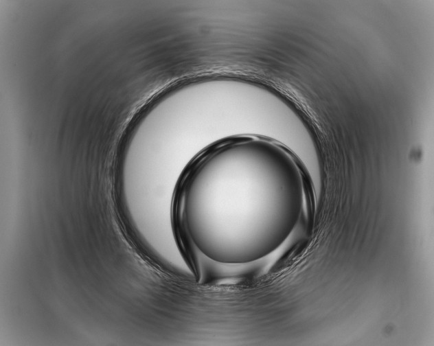 X0000097970444200804071103