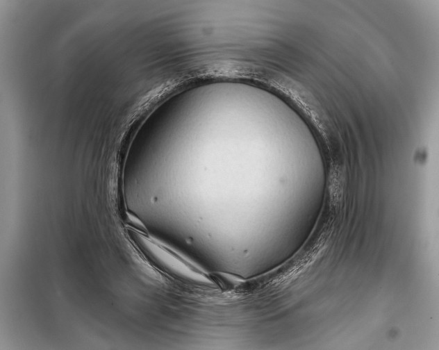 X0000097970445200804071103