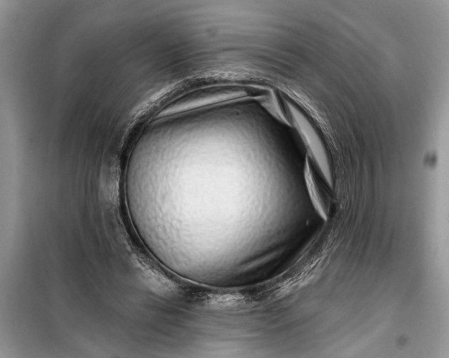 X0000097970446200804071103