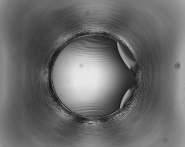 X0000097970447200804071103