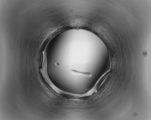 X0000097970448200804071103