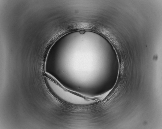 X0000097970449200804071103